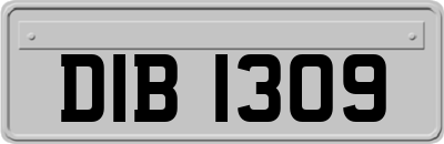 DIB1309