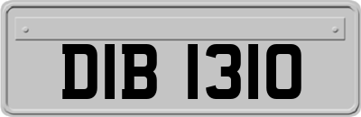 DIB1310