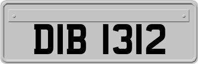 DIB1312