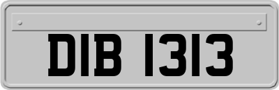 DIB1313