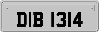 DIB1314