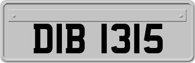 DIB1315
