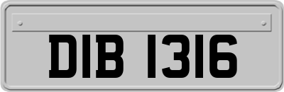 DIB1316