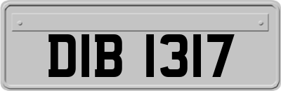 DIB1317