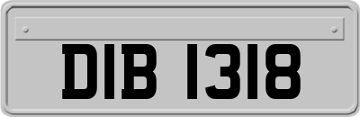 DIB1318