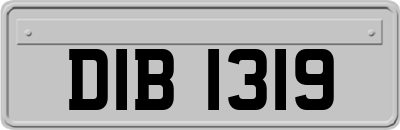 DIB1319