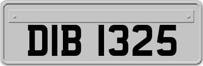 DIB1325