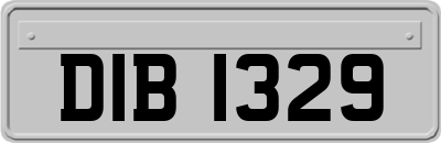 DIB1329
