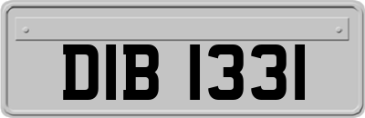 DIB1331