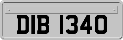 DIB1340