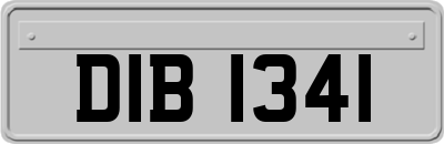 DIB1341