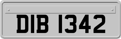 DIB1342