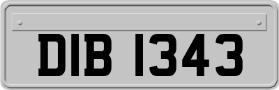 DIB1343