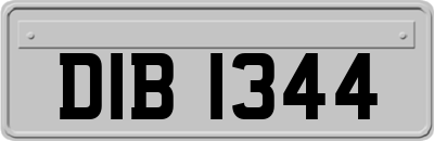 DIB1344