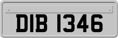 DIB1346