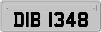 DIB1348