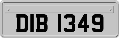DIB1349