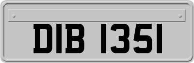 DIB1351