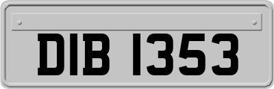 DIB1353