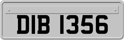 DIB1356