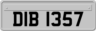 DIB1357