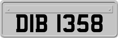 DIB1358
