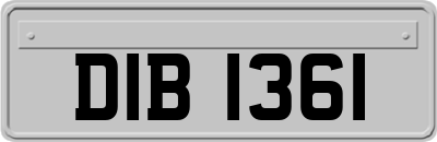 DIB1361
