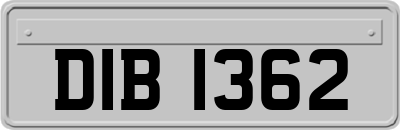 DIB1362