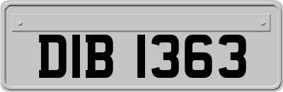 DIB1363