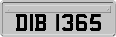 DIB1365