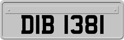DIB1381