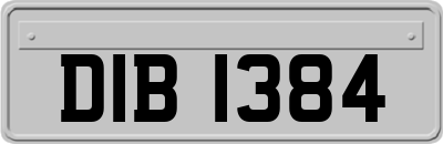 DIB1384