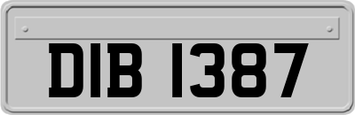 DIB1387