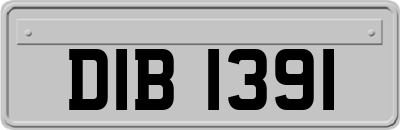 DIB1391