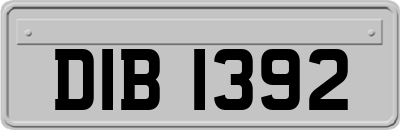 DIB1392