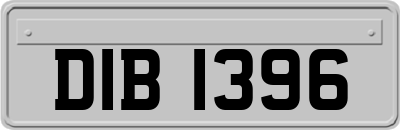 DIB1396