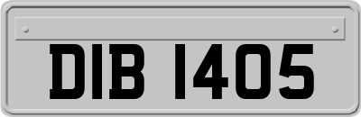 DIB1405