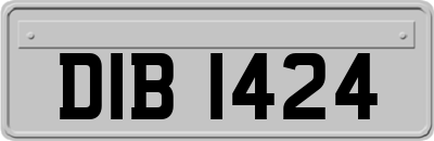 DIB1424