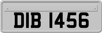 DIB1456