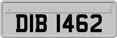 DIB1462
