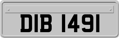 DIB1491