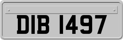 DIB1497