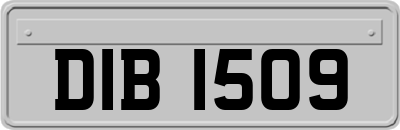 DIB1509