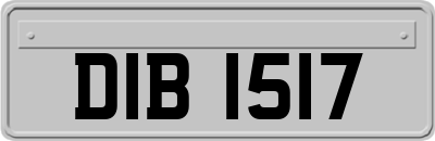 DIB1517