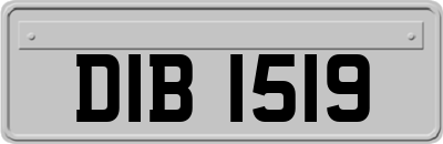 DIB1519