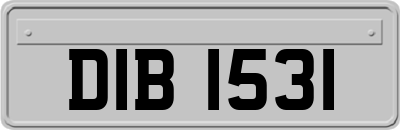 DIB1531