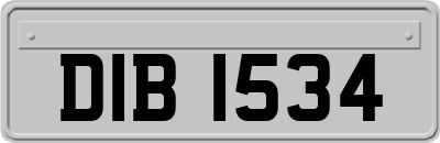 DIB1534