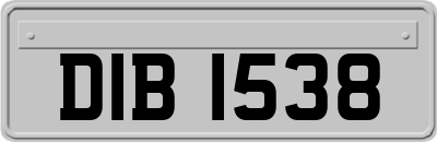 DIB1538