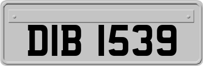 DIB1539