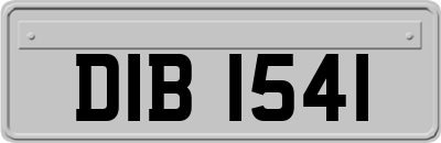 DIB1541